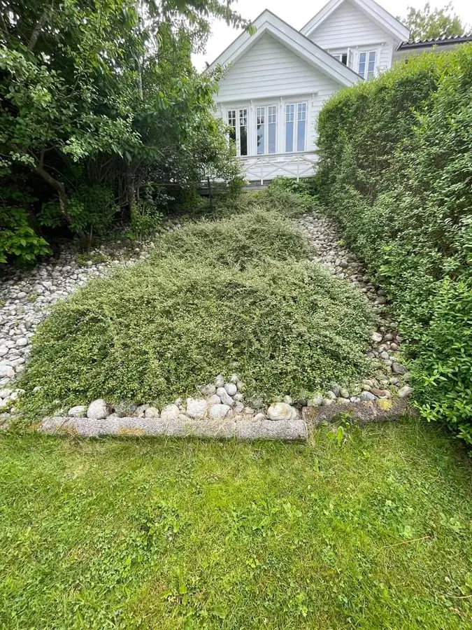 Steinbed før luking, Munkerekka